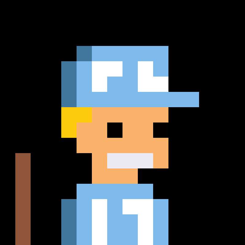 The Baseball Pro